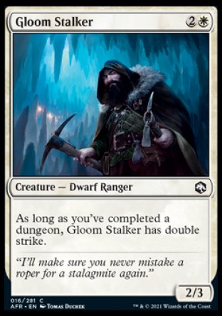(016) Magic The Gathering Adventures in the Forgotten Realms Single: Gloom Stalker Common