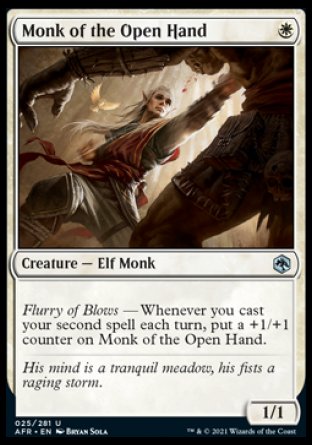 (025) Magic The Gathering Adventures in the Forgotten Realms Single: Monk of the Open Hand Holo Uncommon