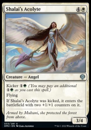(033) Magic The Gathering Dominaria United Single: Shalai's Acolyte Holo Uncommon