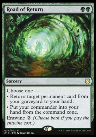 (034) Magic The Gathering Commander 2019 Single: Road of Return Rare