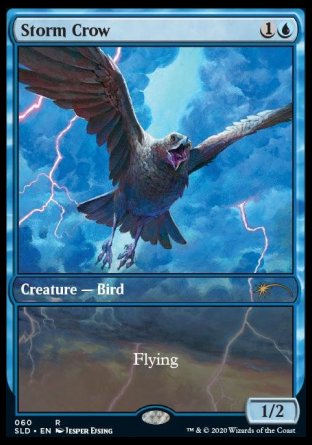 (060) Magic The Gathering Secret Lair Drop Series Single: Storm Crow Holo Rare