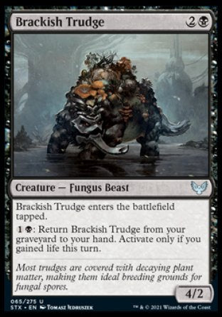 (063) Magic The Gathering Strixhaven: School of Mages Single: Arrogant Poet Holo Common