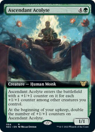(064) Magic The Gathering Commander: Kamigawa: Neon Dynasty Single: Ascendant Acolyte (V.2) Rare