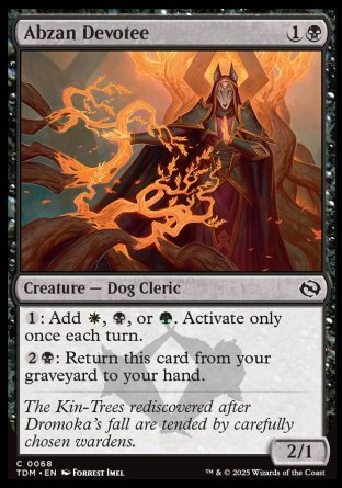 (068) Magic The Gathering Tarkir: Dragonstorm Single: Abzan Devotee Holo Common