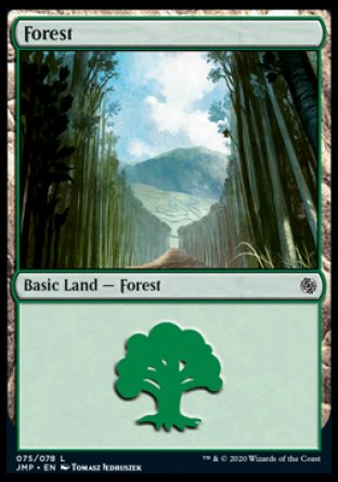 (075) Magic The Gathering Jumpstart Single: Forest (V.6) Land