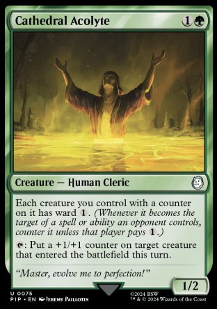 (075) Magic The Gathering Universes Beyond: Fallout Single: Cathedral Acolyte Holo Uncommon