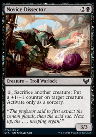 (079) Magic The Gathering Strixhaven: School of Mages Single: Novice Dissector Holo Common