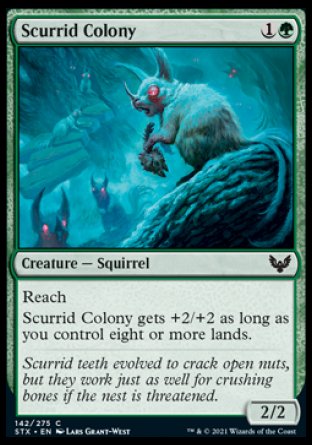 (142) Magic The Gathering Strixhaven: School of Mages Single: Scurrid Colony Holo Common