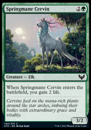 (144) Magic The Gathering Strixhaven: School of Mages Single: Springmane Cervin Holo Common
