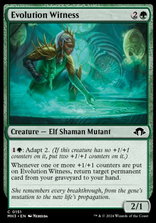 (151) Magic The Gathering Modern Horizons 3 Single: Evolution Witness Common