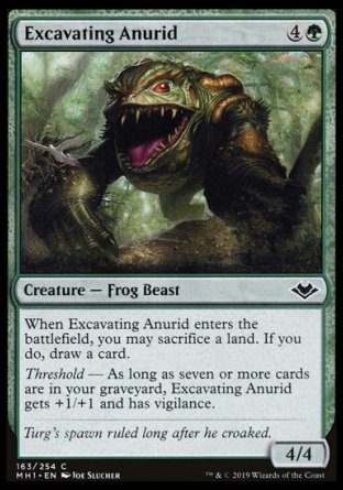 (163/254) Magic The Gathering Modern Horizons Single: Excavating Anurid Holo Common