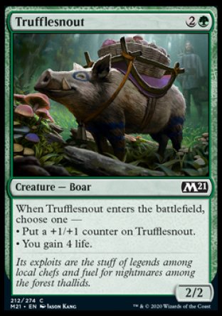(212) Magic The Gathering Core 2021 Single: Trufflesnout Holo Common