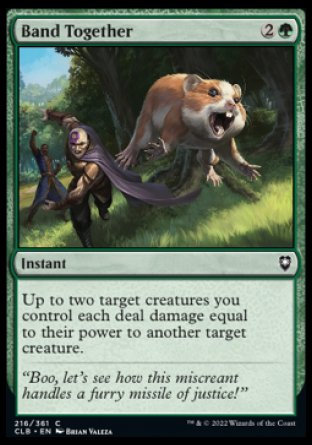 (216) Magic The Gathering Commander Legends: Battle for Baldur's Gate Single: Band Together Holo Common