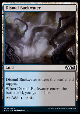 (245) Magic The Gathering Core 2021 Single: Dismal Backwater Holo Common