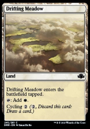 (245) Magic The Gathering Dominaria Remastered Single: Drifting Meadow Holo Common