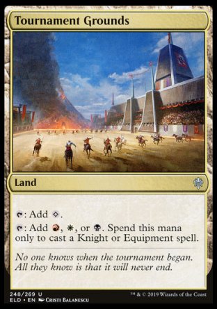 (248/269) Magic The Gathering Throne of Eldraine Single: Tournament Grounds Holo Uncommon