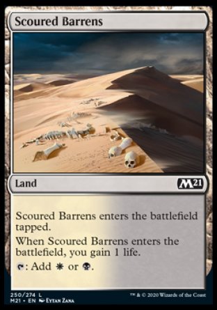 (250) Magic The Gathering Core 2021 Single: Scoured Barrens Holo Common