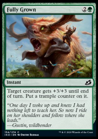 (254/274) Magic The Gathering Ikoria: Lair of Behemoths Single: Scoured Barrens Holo Common