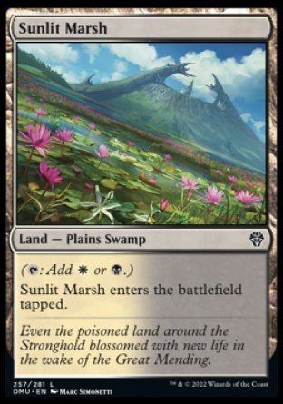 (257) Magic The Gathering Dominaria United Single: Sunlit Marsh Holo Common