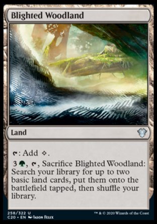 (258/322) Magic The Gathering Commander: Ikoria Single: Blighted Woodland Uncommon