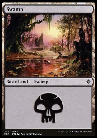(258/269) Magic The Gathering Throne of Eldraine Single: Swamp (V.1) Land