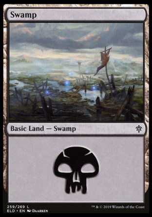 (259/269) Magic The Gathering Throne of Eldraine Single: Swamp (V.2) Land