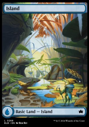 (268) Magic The Gathering Bloomburrow Single: Island (V.3)  Land