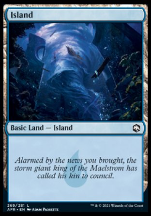 (269) Magic The Gathering Adventures in the Forgotten Realms Single: Island (V.4) Holo Land