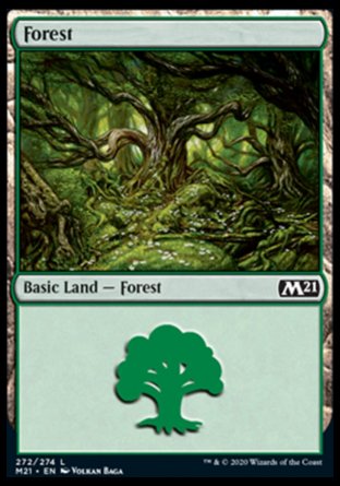 (272) Magic The Gathering Core 2021 Single: Forest (V.1) Land