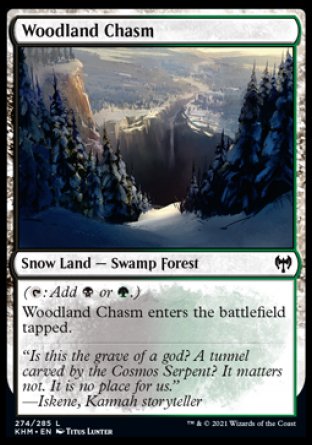 (274/285) Magic The Gathering Kaldheim Single: Woodland Chasm Holo Common