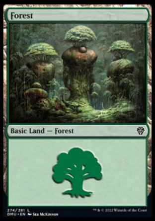 (274) Magic The Gathering Dominaria United Single: Forest (V.1) Holo Land