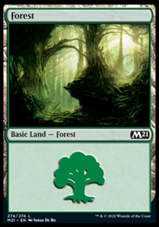 (274) Magic The Gathering Core 2021 Single: Forest (V.3) Holo Land