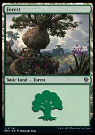 (275) Magic The Gathering Dominaria United Single: Forest (V.2) Land