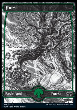 (276) Magic The Gathering Innistrad: Crimson Vow Single: Forest (V.1) Land