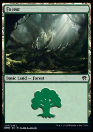 (276) Magic The Gathering Dominaria United Single: Forest (V.3) Holo Land