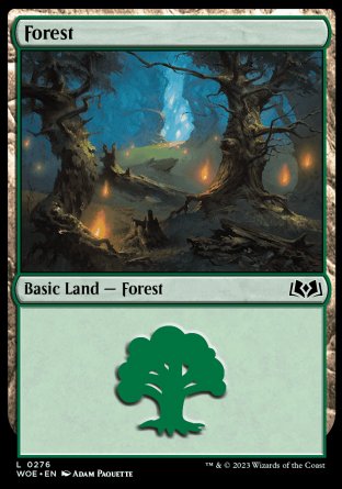 (276) Magic The Gathering Wilds of Eldraine Single: Forest (V.3) Holo Land
