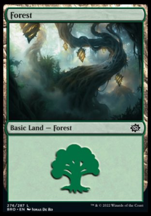 (276) Magic The Gathering The Brothers' War Single: Forest (V.3) Holo Land