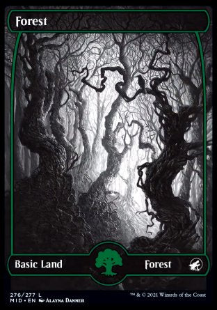 (276) Magic The Gathering Innistrad: Midnight Hunt Single: Forest (V.1) Land