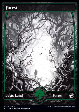 (277) Magic The Gathering Innistrad: Midnight Hunt Single: Forest (V.2) Holo Land