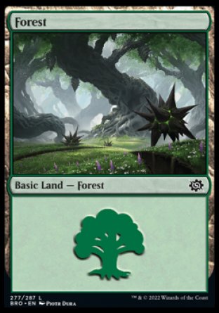 (277) Magic The Gathering The Brothers' War Single: Forest (V.4) Holo Land