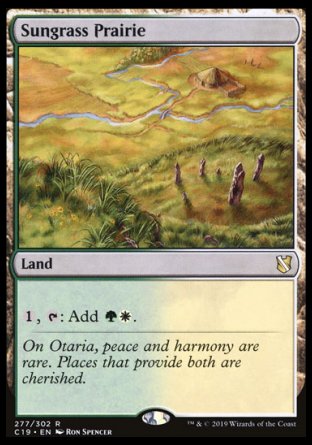 (277) Magic The Gathering Commander 2019 Single: Sungrass Prairie Rare