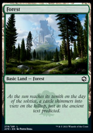 (278) Magic The Gathering Adventures in the Forgotten Realms Single: Forest (V.1) Holo Land