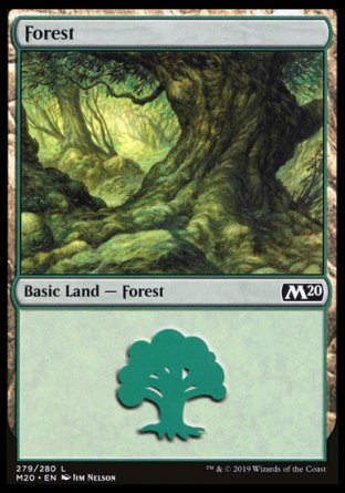(279/280) Magic The Gathering Core 2020 Single: Forest (V.3) Holo Land