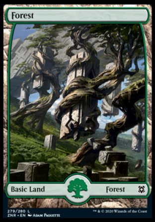 (279/280) Magic The Gathering Zendikar Rising Single: Forest (V.2) Holo Land