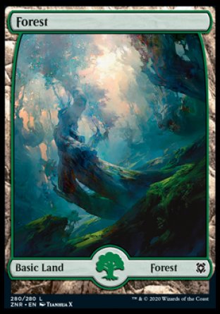 (280/280) Magic The Gathering Zendikar Rising Single: Forest (V.3) Holo Land
