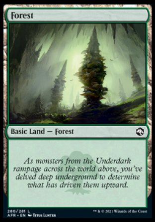 (280) Magic The Gathering Adventures in the Forgotten Realms Single: Forest (V.3) Holo Land