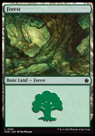 (281) Magic The Gathering Magic: The Gathering Foundations Single: Forest (V.2) Land