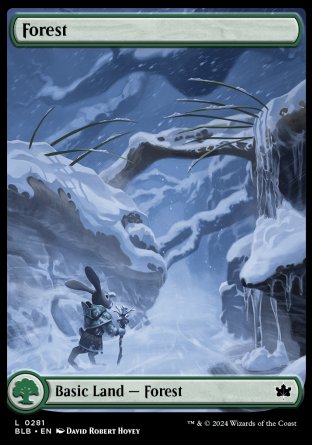 (281) Magic The Gathering Bloomburrow Single: Forest (V.4) Holo Land