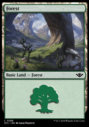 (286) Magic The Gathering Outlaws of Thunder Junction Single: Forest (V.3) Holo Land