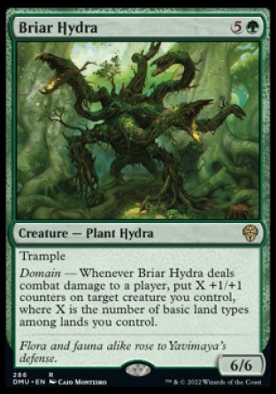 (286) Magic The Gathering Dominaria United: Extras Single: Briar Hydra (V.1) Holo Rare